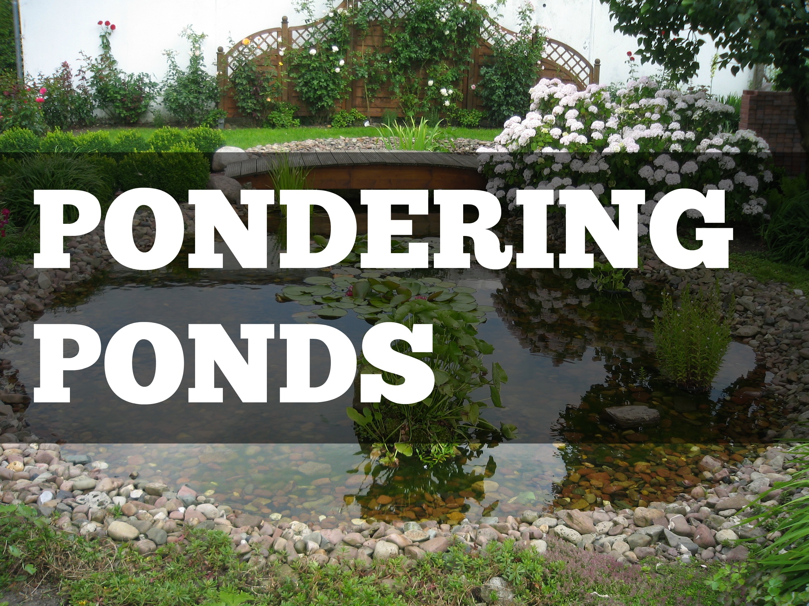 Pondering Ponds - Landscape Edging Blog